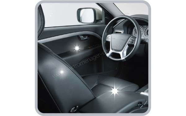 ROWENTA RO7353EA - Home & Car (cr&eacute;dit : Boulanger)