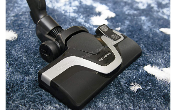 ROWENTA RO7366EA - Vue de la brosse principale