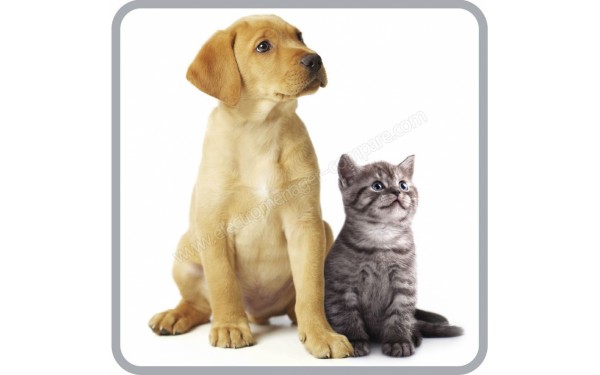 ROWENTA RO7476EA - Animal Care