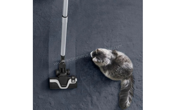 ROWENTA RO7935EA - Mise en situation