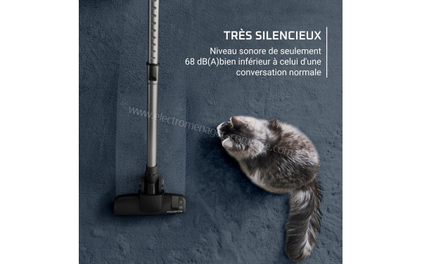 ROWENTA RO7C30EA - Mise en situation