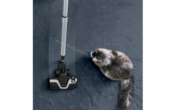 ROWENTA RO7C32EA - Mise en situation