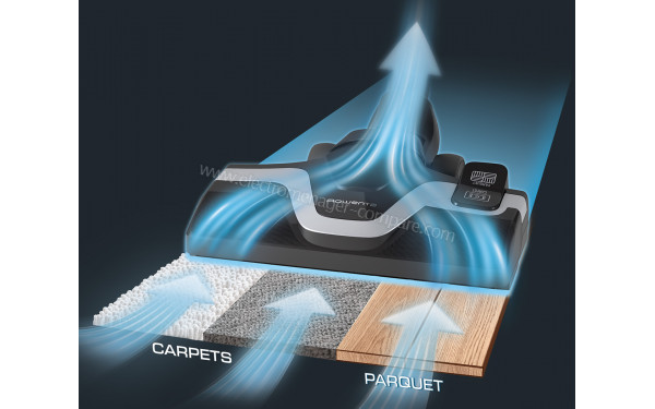 ROWENTA RO8388EA - Vue de la brosse principale