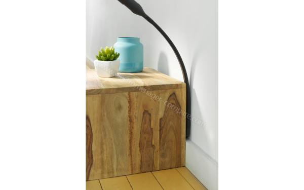 ROWENTA RO8388EA - Vue du suceur fente flexible