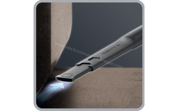 ROWENTA RO8396EA - Vue du suceur fente t&eacute;lescopique