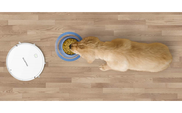 ROWENTA RR7267WH - Mise en situation