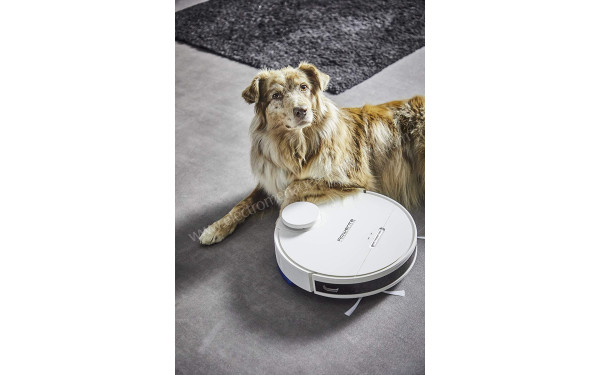 ROWENTA RR7987WH - Mod&egrave;le pour animaux