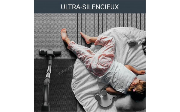 ROWENTA YY5020FE - Mise en situation