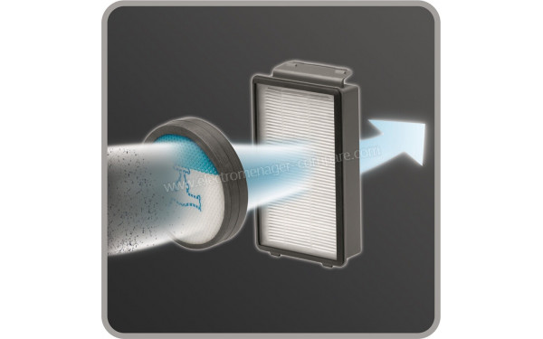 ROWENTA YY5067FE - Deux filtres &agrave; poussi&egrave;re int&eacute;gr&eacute;s