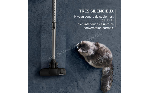 ROWENTA YY5269FE - Mise en situation