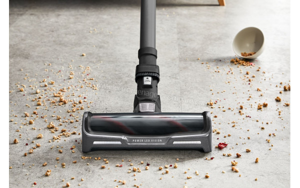 ROWENTA YY5640FE - Vue de la brosse principale (cr&eacute;dit : Boulanger)