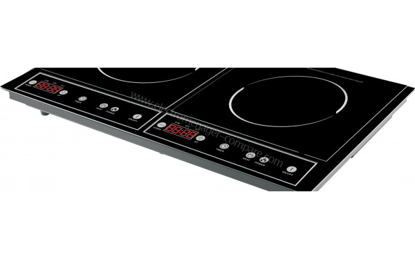 ROYALTY LINE RL-DIP-4000.2 - Panneau de commandes