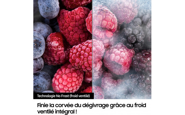 SAMSUNG RB34C672ESA - Technologie No Frost