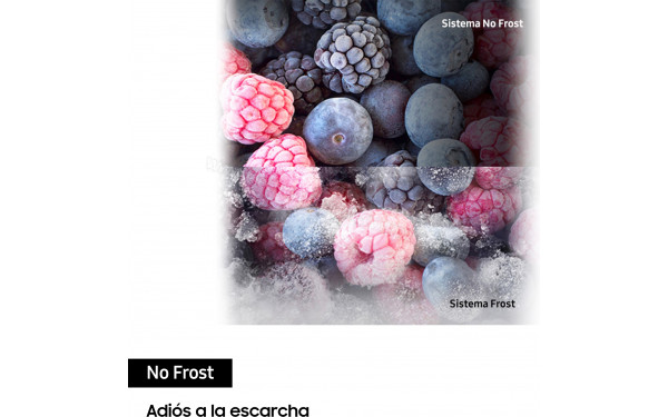 SAMSUNG RB38T600EWW - Mise en situation