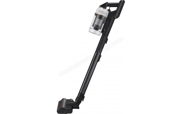 SAMSUNG VS20A95843W - Vue de profil