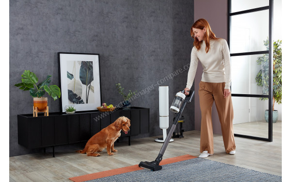 SAMSUNG VS20B95823W - Mise en situation