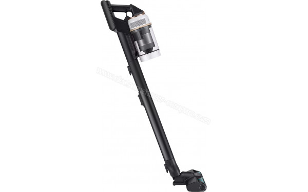 SAMSUNG VS20B95C43W - Vue de profil