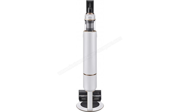 SAMSUNG VS20B95C43W - Vue sur base de chargement