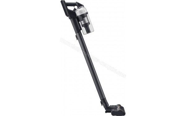 SAMSUNG VS20C85G2TW - Vue de profil