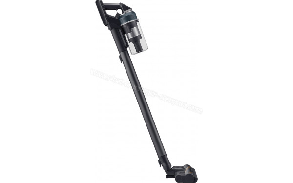 SAMSUNG VS20C85G4TB - Vue de profil