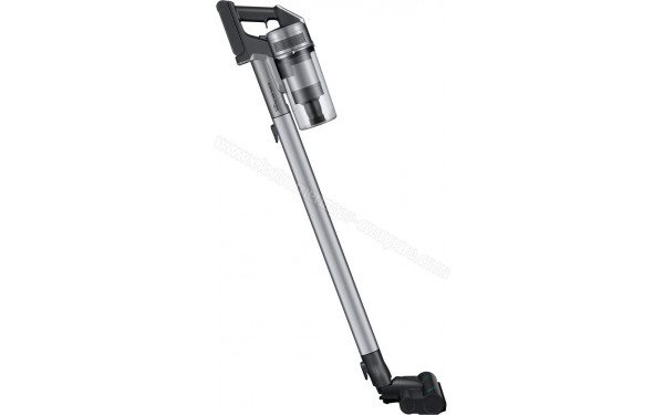 SAMSUNG VS20T7536T5/GE - Vue de profil avec brosse Turbo Action (n&deg;2)