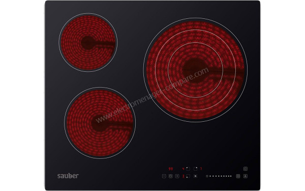 SAUBER SEV-01 - Vue du dessus
