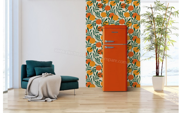 SCHNEIDER SCDD208VFLO - Mise en situation