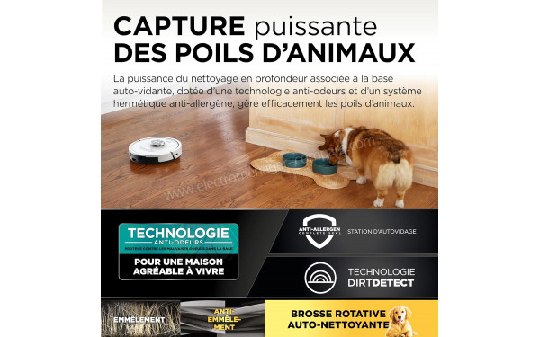 SHARK PowerDetect Blanc - Mise en situation