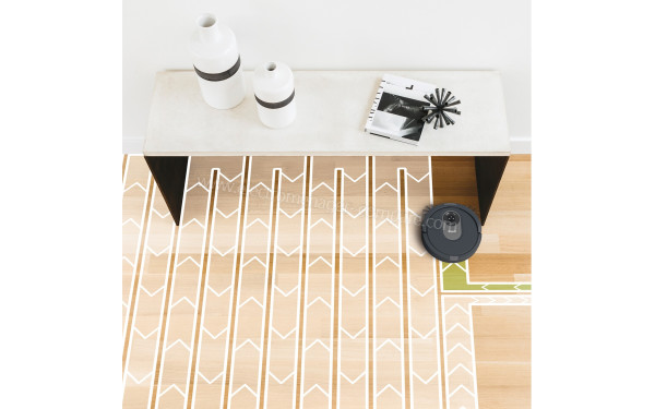 SHARK RV2001EU - Mise en situation (cr&eacute;dit : Darty)