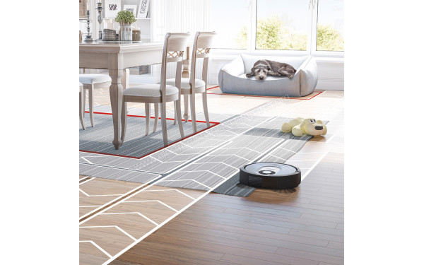 SHARK RV2001WDEU - Mise en situation (cr&eacute;dit : Darty)