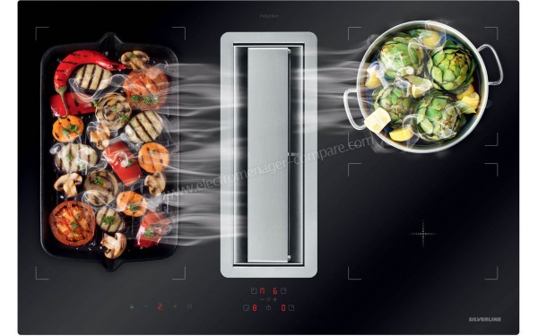 SILVERLINE H80078 015 - Mise en situation