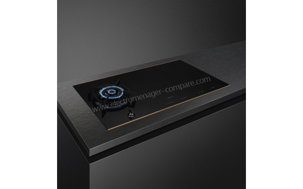 SMEG PM6954R - Appareil encastr&eacute;