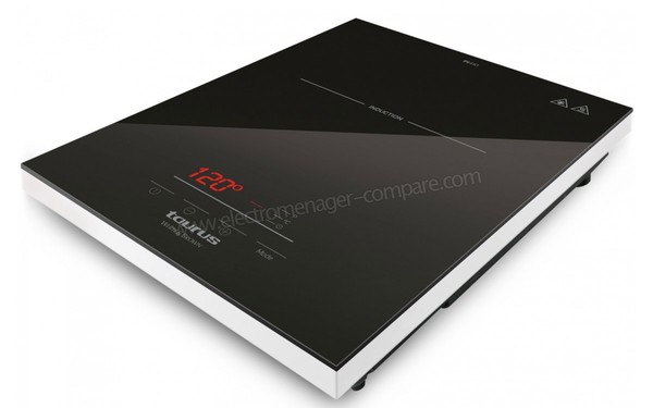 TAURUS PI 410 - Vue du dessus