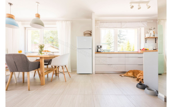 TCL RF207TWE0 - Mise en situation