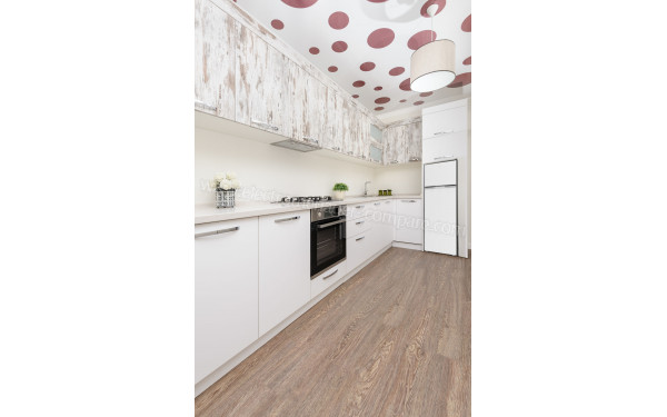 TCL RF207TWE0 - Mise en situation