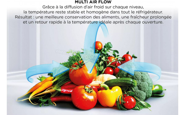 TCL RF282BSD0 - Technologie Multi Air Flow