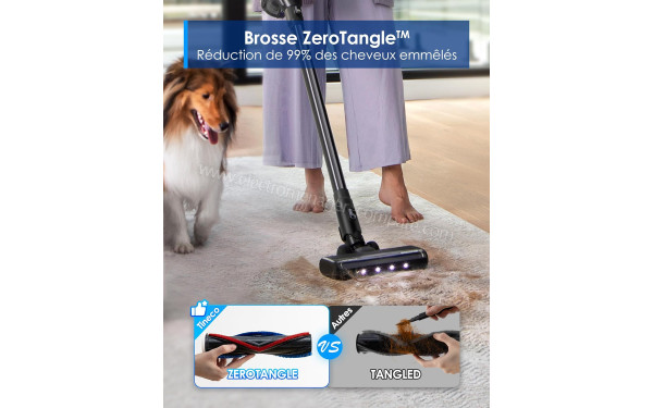 TINECO Pure One Station Pet - Mise en situation