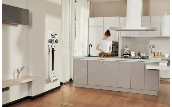 TINECO Pure One X Essentials - Vue sur la station murale de chargement