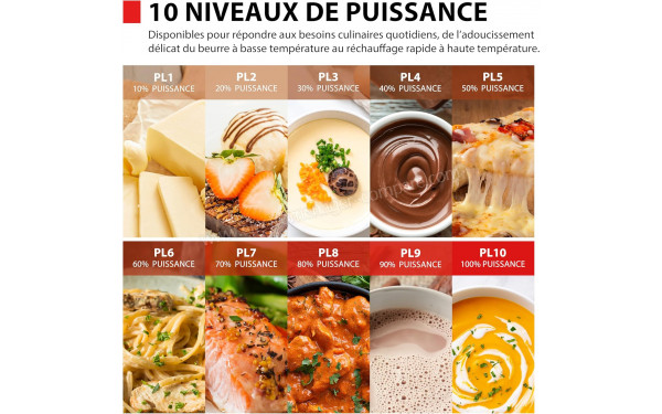 TOSHIBA MW3-EG23PE(BK) - 10 niveaux de puissance
