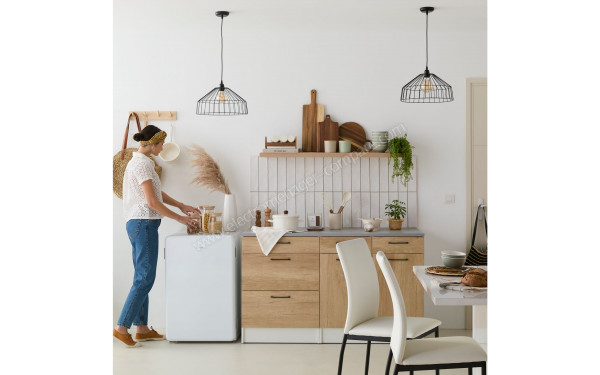 VEDETTE VRT110ZW - Mise en situation