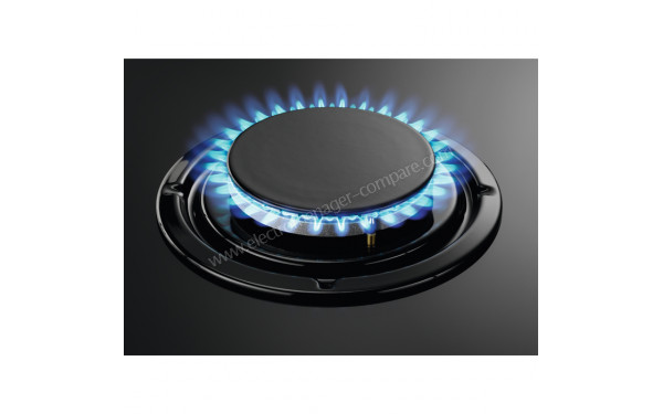ZANUSSI ZGO62414BA - Zoom sur le foyer Rapide