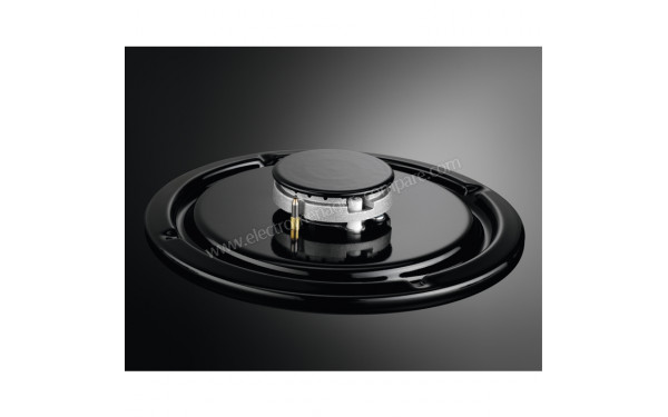 ZANUSSI ZGO62414BA - Zoom sur le foyer Auxiliaire