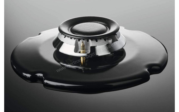 ZANUSSI ZGO68410BA - Zoom sur les foyers