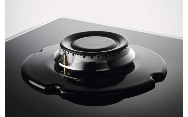 ZANUSSI ZGO68410BA - Zoom sur les foyers