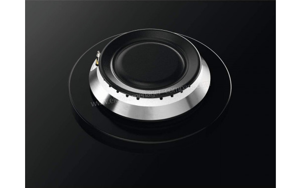 ZANUSSI ZGO68410BA - Zoom sur les foyers