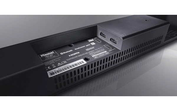 MAGNAT SBW 250 - Connectique 1