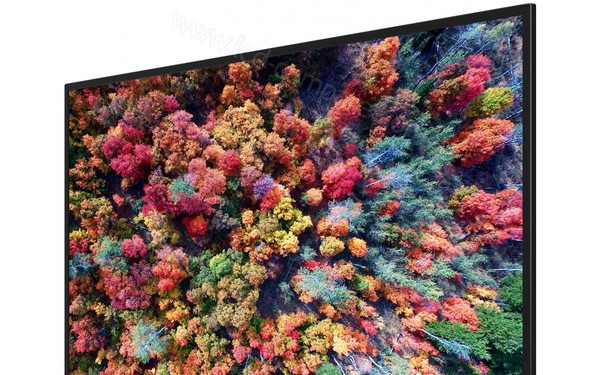 ACER EB550Kbmiiipx - Zoom sur la partie haute