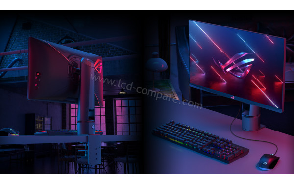 ASUS PG259QNR - Support de fixation de bureau (inclus)