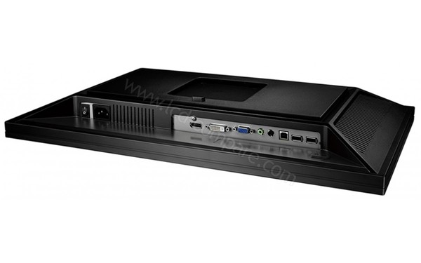 BENQ BL2423PT - Connectique