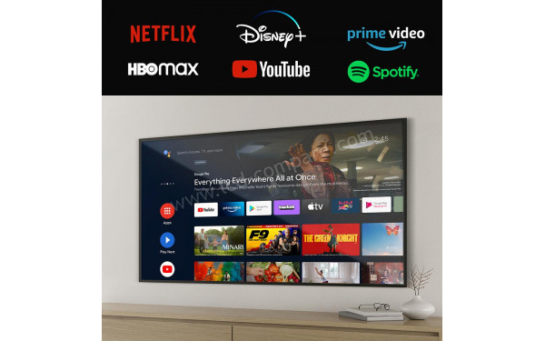 CECOTEC ALH00032N - Mise en situation